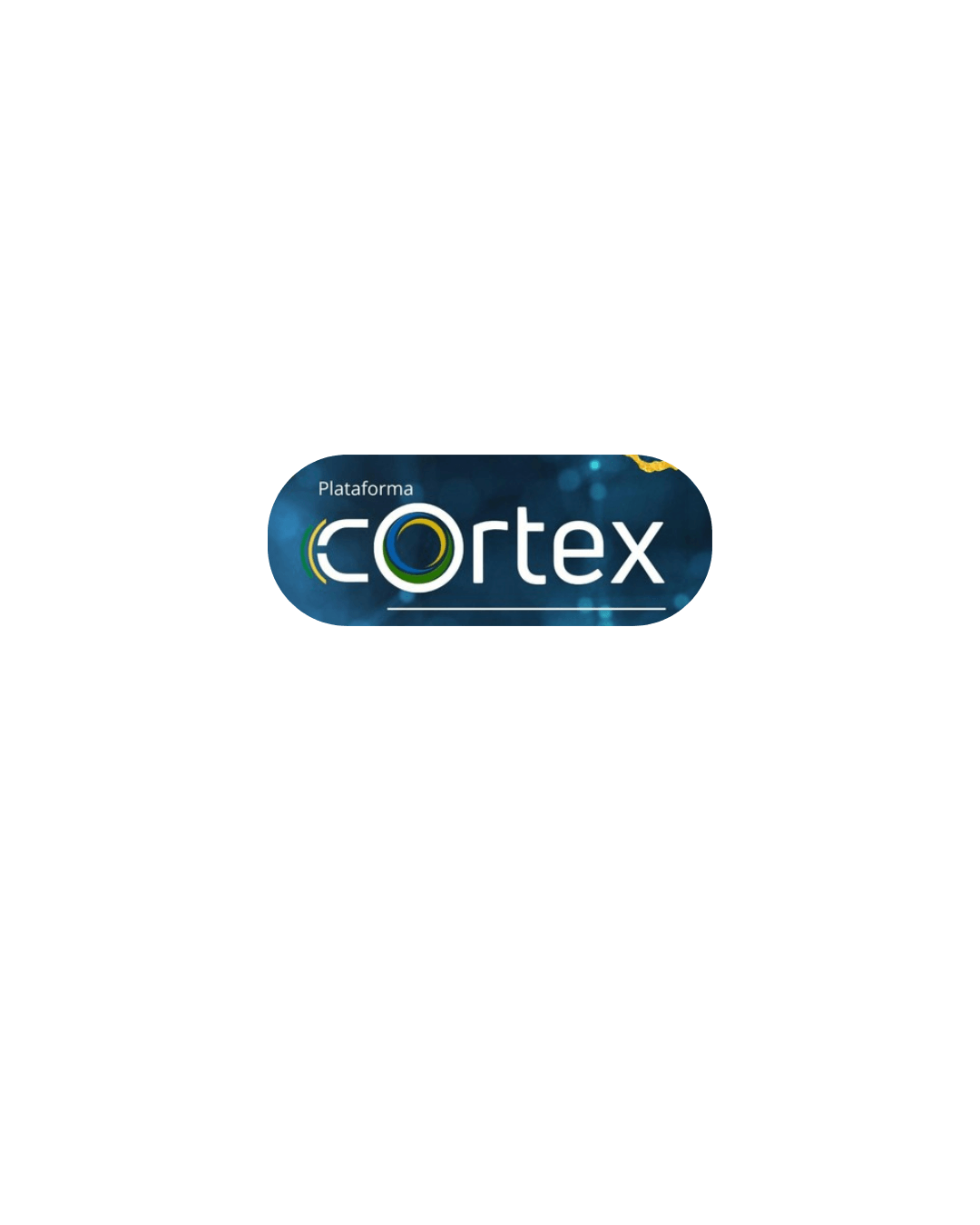 Córtex