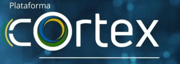 Córtex